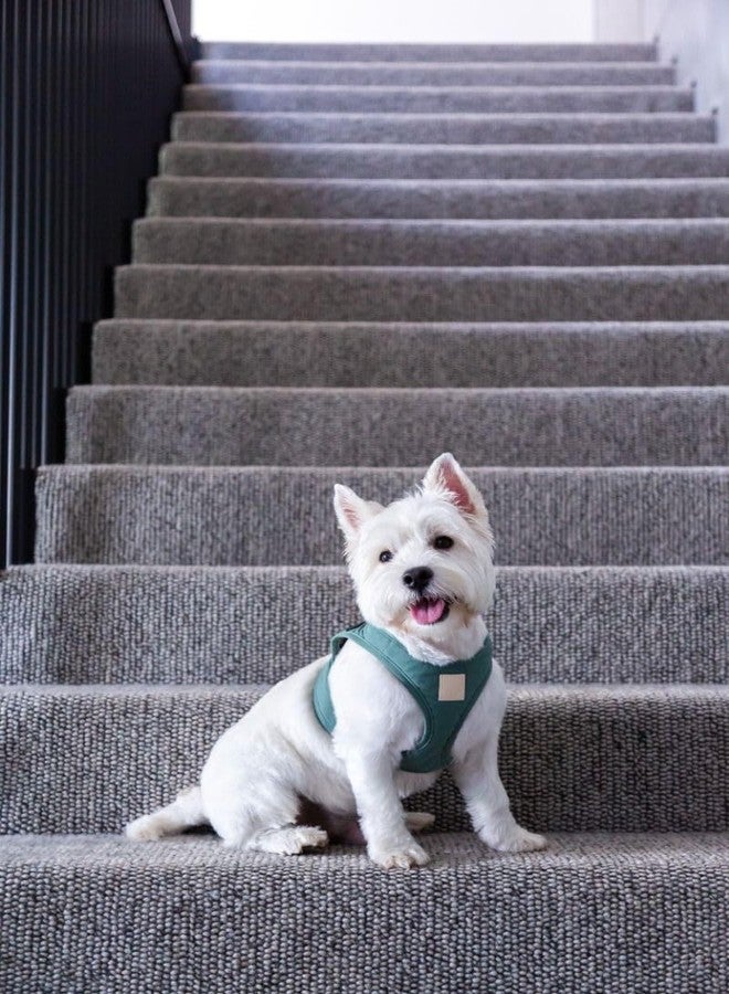FuzzYard Life Step in Dog Harness | Size L | Stylish Premium Cotton Design in Myrtle Green Perfect for Everyday Walks - Image 2